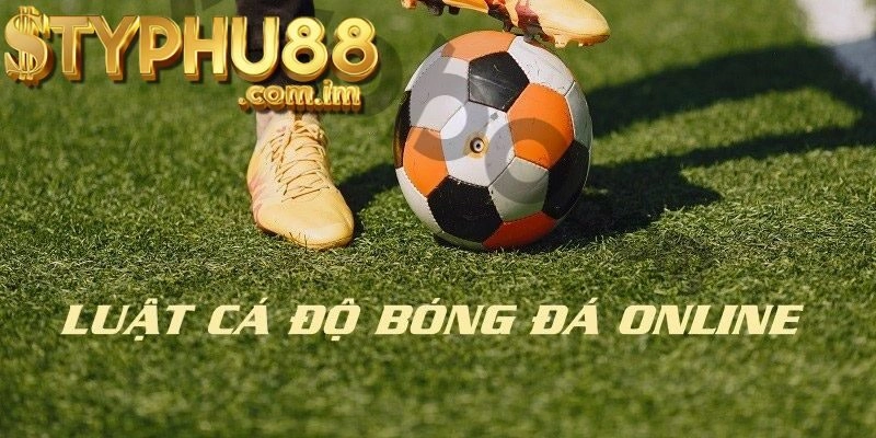 Cách tham gia cá độ bóng đá trên Typhu88
